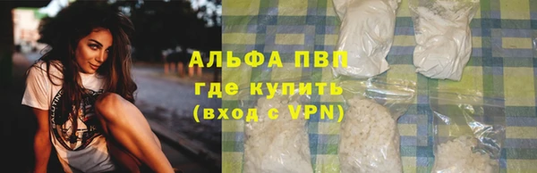 молекула духа Ельня