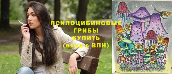 дживик Елизово