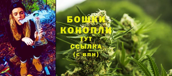 ALPHA PVP Заволжье