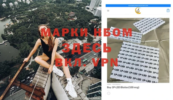 PSILOCYBIN Заволжск