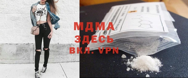 молекула духа Ельня