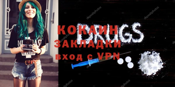 молекула духа Ельня