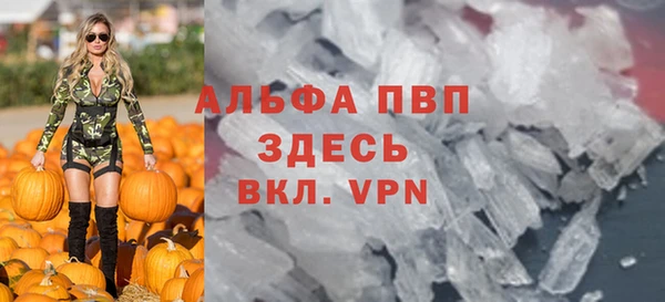 молекула духа Ельня
